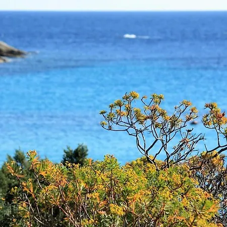Holiday home I Mandorli 1 Villetta Con Giardino *